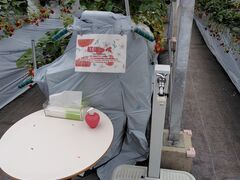 �X�g���x���[�p�[�N���΂̎ʐ^3