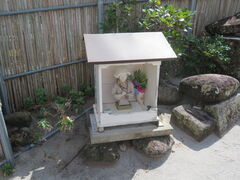 �L������̂������E�W�����A�̕�ւ̓��e�ʐ^1