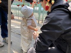 �����߃t�@�[���̎ʐ^1