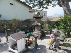 �L������̗��l�˂ւ̓��e�ʐ^1