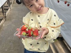 ����ƌ������I�Ƃ��Ă����̃C�`�S���H�̎ʐ^1