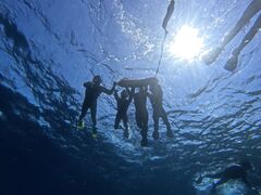 SHISHI�Ί_���̎ʐ^2