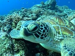 SHISHI�Ί_���̎ʐ^3