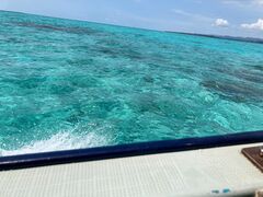 SeaChan�Ί_���̎ʐ^1