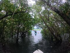 ���\�� ADVENTURE PiPi�̎ʐ^1