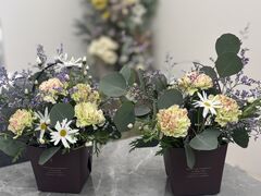 ���Ԃ̋��� �u�[�P�h�I���[�u�̎ʐ^1