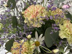 ���Ԃ̋��� �u�[�P�h�I���[�u�̎ʐ^2