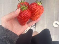 ��낱�є_�����ʂ̎ʐ^1