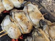 �n�K����񂳂�̋����� �甪 ������̓��e�ʐ^12