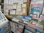 �L������̎������ό�����̓��e�ʐ^2