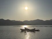 4�l�̂��[����񂳂�̑�����̓��e�ʐ^1