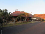 �L������̎G����I�m�ۂ̓��e�ʐ^1