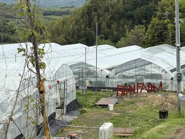 BONFARM�I_Bon Farm