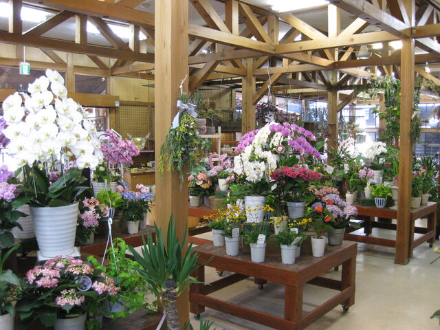 �t�����[�V���b�v�̓X��_�t���[�����K�[�f�����Ԃ�