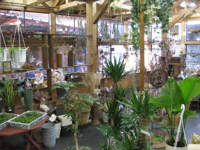 �t�����[�V���b�v�̓X���@�ϗt�A��������܂�_�t���[�����K�[�f�����Ԃ�