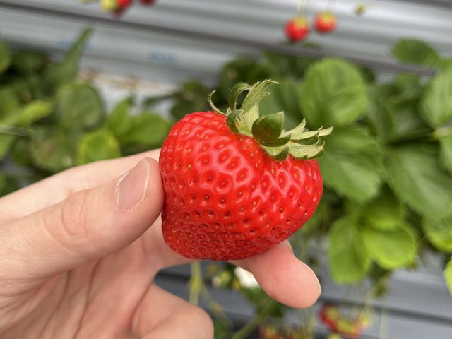 �^���ԂȂ���������������I�I_BERRYHOUSE