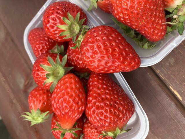 �������ł�_�M�c�_�� strawberry54