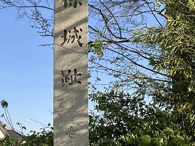 Shota����̋��v�ۏ�Ղ̓��e�ʐ^1