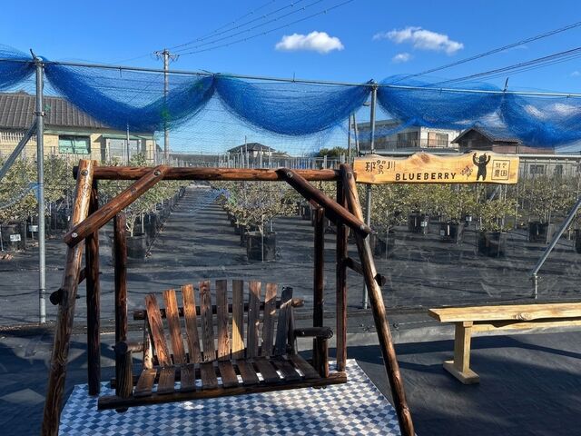 mik����݂̂��_���̓��e�ʐ^1