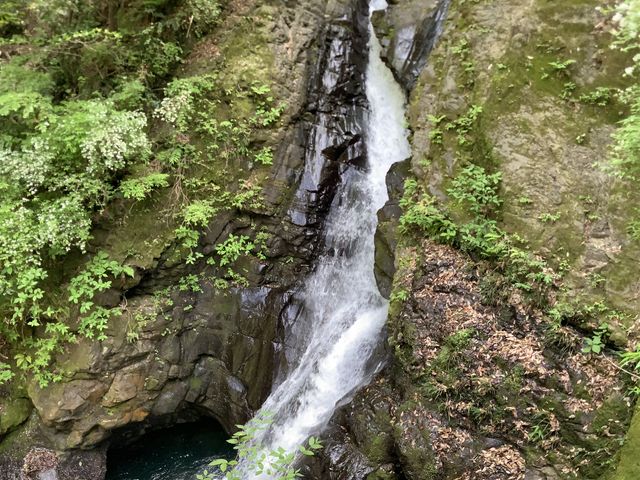 �Ɩ�����̒��q���̑�̓��e�ʐ^1