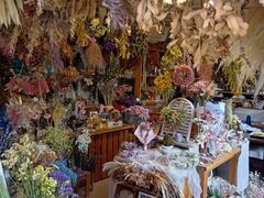 �I�����W�̒�(Waikaru)�̎ʐ^1