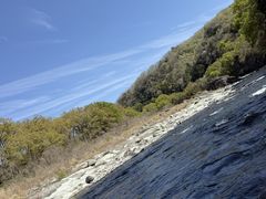 ���ҏM����̎ʐ^1