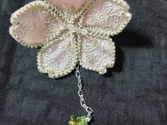 �X�N�[���\�t�B�A���Ԃ̋����̎ʐ^1