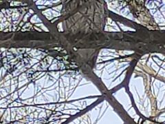 �i���j�m���l�C�`���[�I�t�B�X�̎ʐ^2