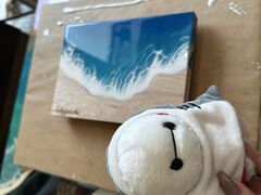 �Z�L�O�`����̃I�L�i�� ���W���A�[�g�ւ̓��e�ʐ^1