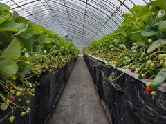 �Z���������̎ʐ^1