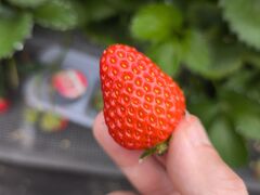 �Z���������̎ʐ^2