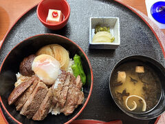 �j���[�I�[�^�j�C���D�y�̎ʐ^1