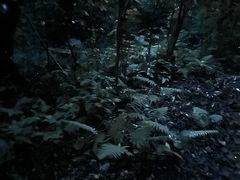 �Ί_�� ����t�H�g�c�A�[ MONDO PIECE�̎ʐ^2