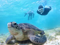 �A�}�~�G���V�X�̎ʐ^1