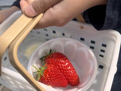 �����t�@�[���̎ʐ^1