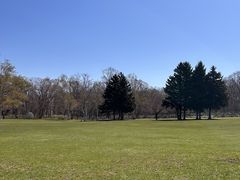 �����ۂ�r���u�W�]��̎ʐ^2