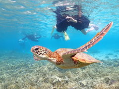 Nami�{�Ó��̎ʐ^1