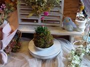 �S������񂳂�̃I�����W�̒�(Waikaru)�̓��e�ʐ^2