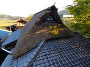 ��������̂��������������Ή���@�z�Ò�����Ȃ��̓��e�ʐ^3