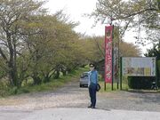 ��������̎o��Ð��̓��e�ʐ^2