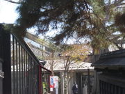 ��������񂳂�̌I�̏��a�̓��e�ʐ^7