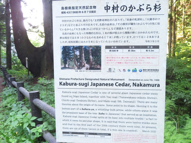 �L������̒����̂��Ԃ琙�̓��e�ʐ^3