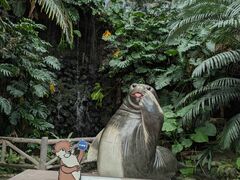 �[������������ �ɐ��V�[�p���_�C�X�̎ʐ^1