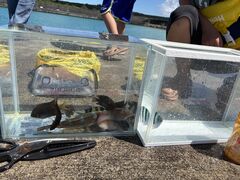 �t�@�~���[�v�����̎ʐ^1
