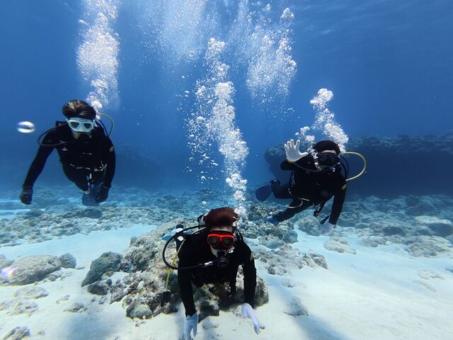 ����Ȃӂ����Y��ɎB���Ă��������܂���_Y'S DIVE OKINAWA