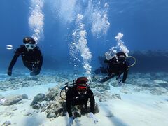 Y'S DIVE OKINAWA�̎ʐ^1