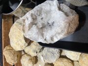 �܂�����̍z��&�J�t�F Mineral Muru�̓��e�ʐ^2
