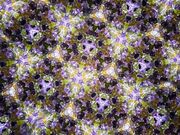 �܂�����̍z��&�J�t�F Mineral Muru�̓��e�ʐ^3