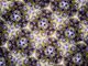 �܂�����̍z��&�J�t�F Mineral Muru�ւ̓��e�ʐ^3