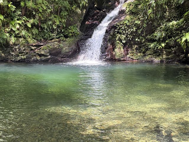 �h���`�F�����EVERGREEN�����̓��e�ʐ^1